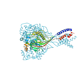 BU of 6cmc by Molmil