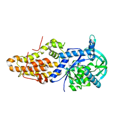 BU of 6cml by Molmil