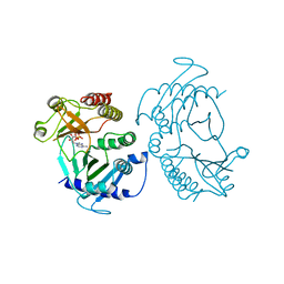 BU of 6cmw by Molmil