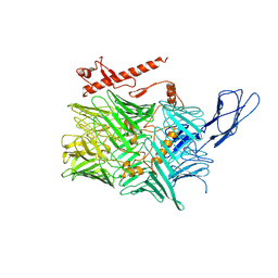 BU of 6cmx by Molmil