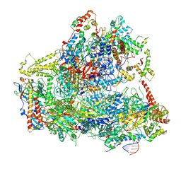 BU of 6cnc by Molmil