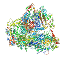 BU of 6cnd by Molmil