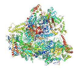 BU of 6cnf by Molmil