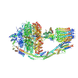 BU of 6cp3 by Molmil