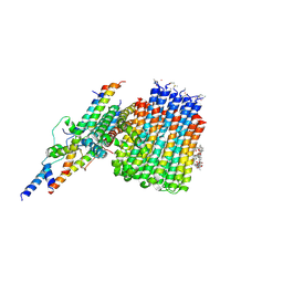 BU of 6cp5 by Molmil