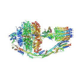 BU of 6cp6 by Molmil