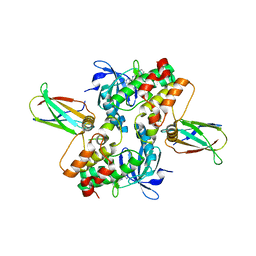 BU of 6cpg by Molmil