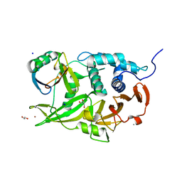 BU of 6cpm by Molmil