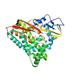 BU of 6cpp by Molmil