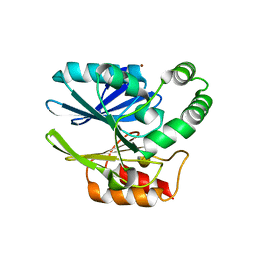 BU of 6cqs by Molmil