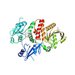 BU of 6crg by Molmil