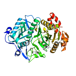 AU of 6crt by Molmil