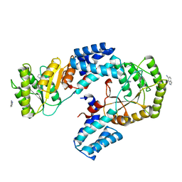 BU of 6cs8 by Molmil