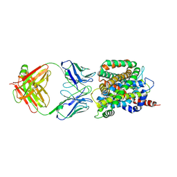 BU of 6cse by Molmil