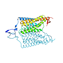 BU of 6csn by Molmil