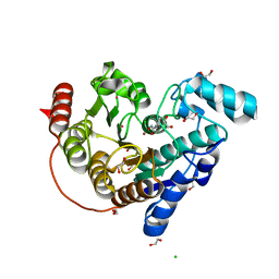 BU of 6csp by Molmil