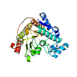 BU of 6csq by Molmil