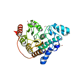 BU of 6csr by Molmil