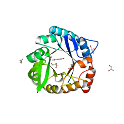 BU of 6ct3 by Molmil