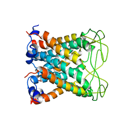 BU of 6ctd by Molmil