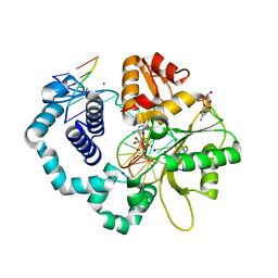 BU of 6ctx by Molmil