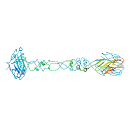 BU of 6cu2 by Molmil