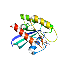 BU of 6cu6 by Molmil