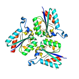 BU of 6cv6 by Molmil