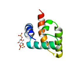 BU of 6cv8 by Molmil