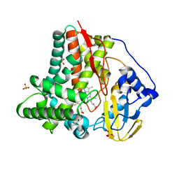 BU of 6cvc by Molmil