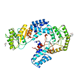 BU of 6cvd by Molmil