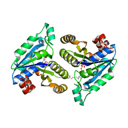 BU of 6cve by Molmil