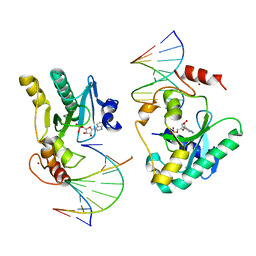 AU of 6cvt by Molmil