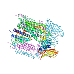 BU of 6cxh by Molmil