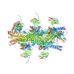 BU of 6cxi by Molmil