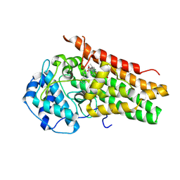 BU of 6cxu by Molmil