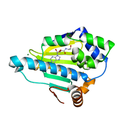 BU of 6cyg by Molmil