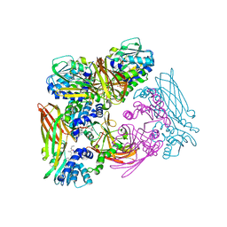 BU of 6d2l by Molmil