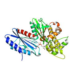 PDB Search results for query - Protein Data Bank Japan