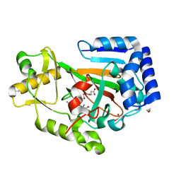 BU of 6db2 by Molmil