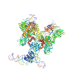 BU of 6dbv by Molmil