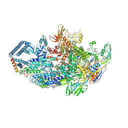 BU of 6dcf by Molmil