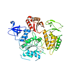 BU of 6dcr by Molmil