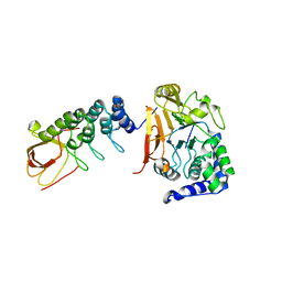 BU of 6dcx by Molmil