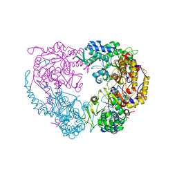 BU of 6ddl by Molmil