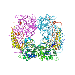 BU of 6ddq by Molmil