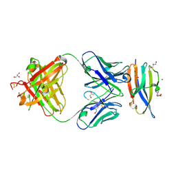 BU of 6ddr by Molmil