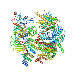 BU of 6dec by Molmil