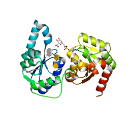 BU of 6dfe by Molmil