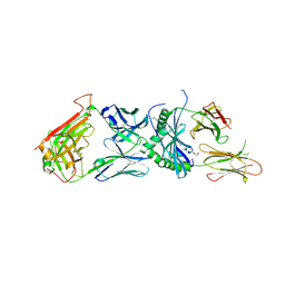 BU of 6dfx by Molmil